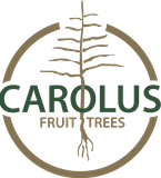 Carolus Fruit Trees
